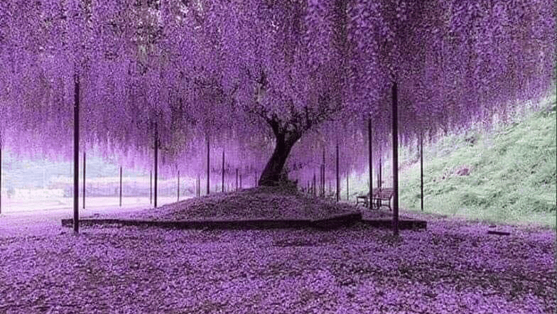 Christine’S Mindful Movement