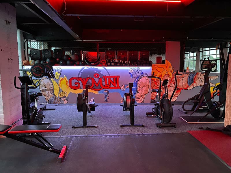 Gymini Fitness