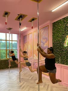 Athena Aerial Arts Academy