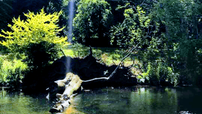 Humming Bee Yoga Manningtree