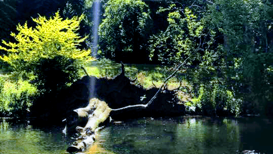 Humming Bee Yoga Manningtree