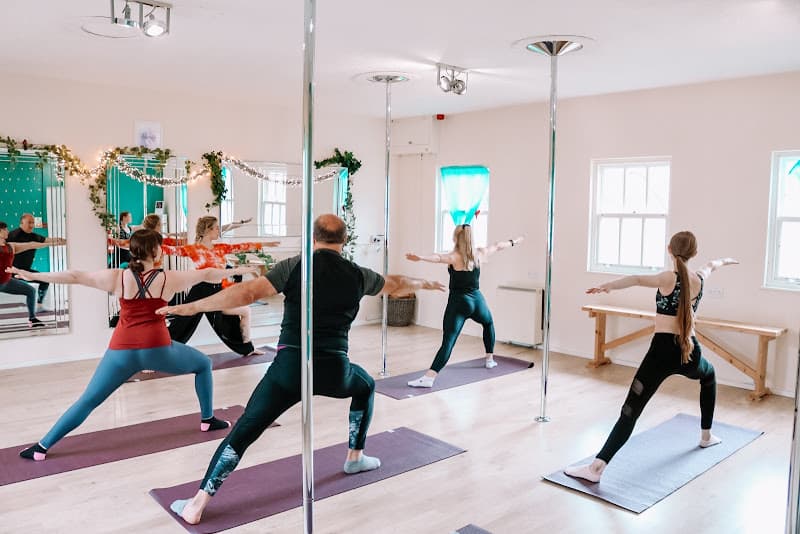 Inspire Pole Dance & Aerial Arts Studios